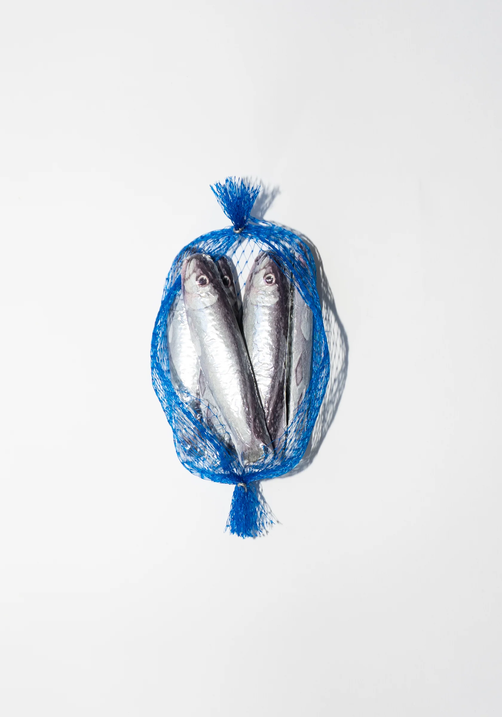 Sardine Chocolate in Blue Net - Image 5