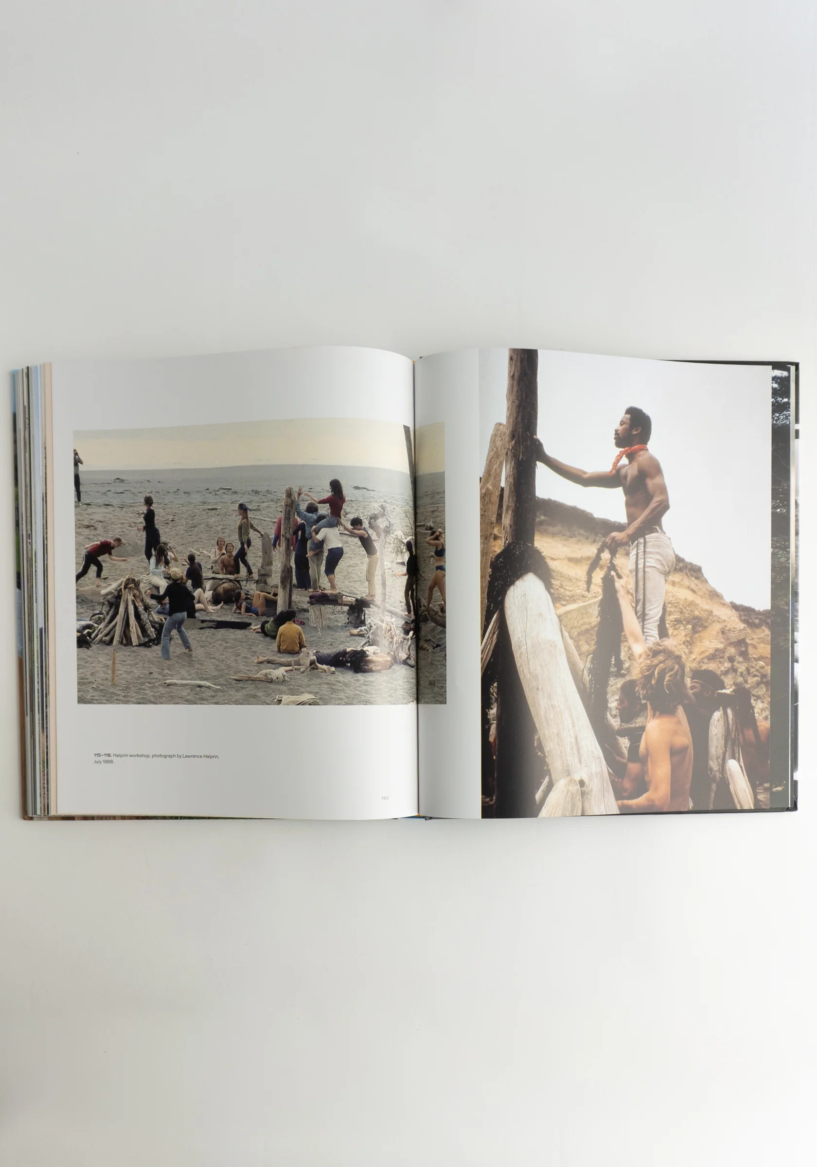The Sea Ranch: Fifty Years of Architecture and Landscape Design - Image 14