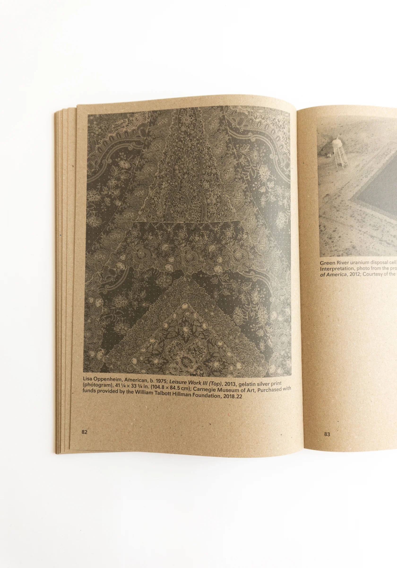 Widening the Lens: Photography, Ecology and the Contemporary Landscape - Image 10