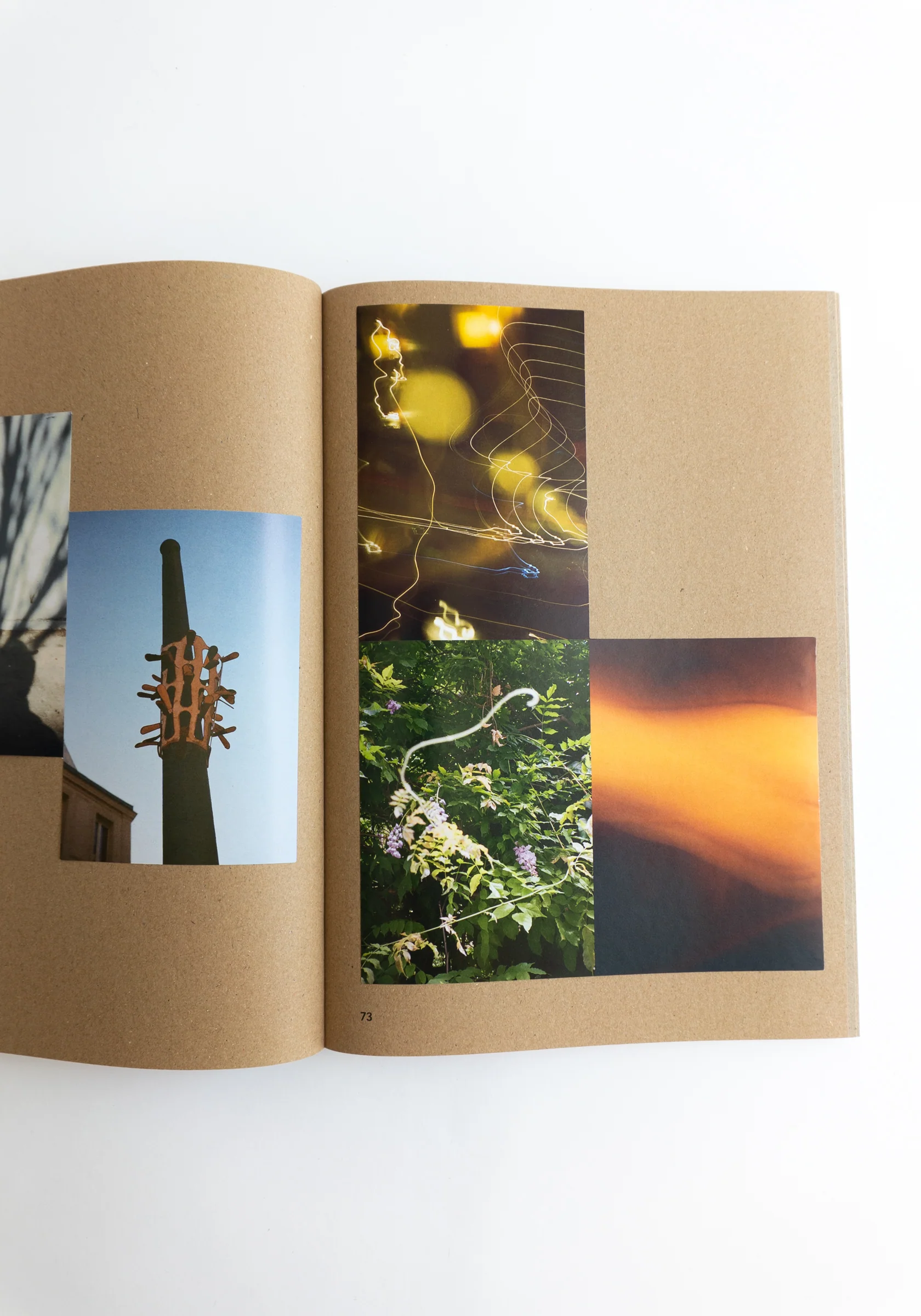 Widening the Lens: Photography, Ecology and the Contemporary Landscape - Image 11