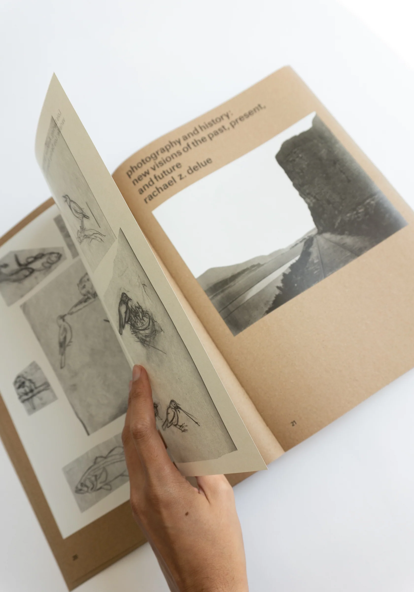 Widening the Lens: Photography, Ecology and the Contemporary Landscape - Image 13