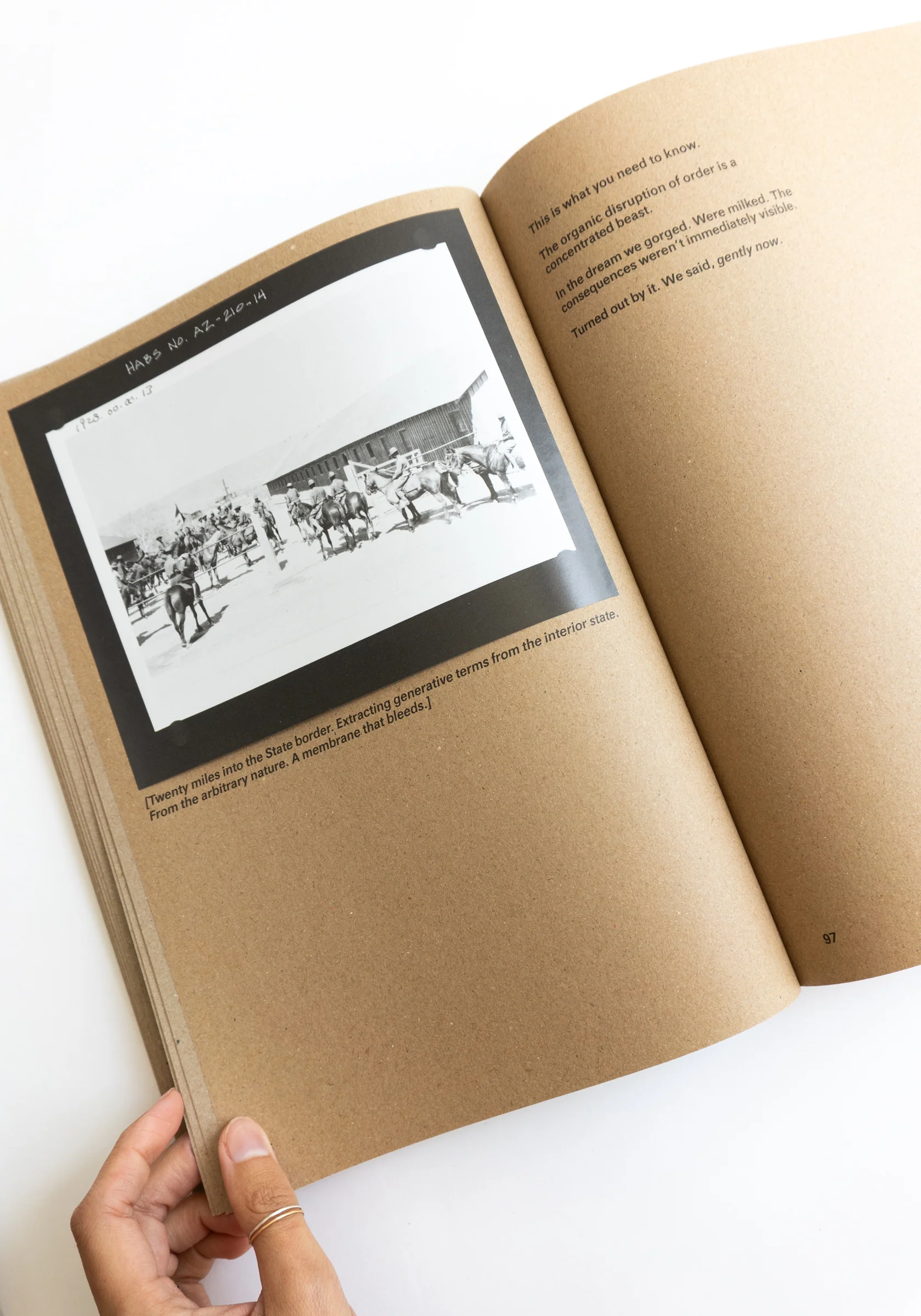 Widening the Lens: Photography, Ecology and the Contemporary Landscape - Image 8